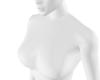 neck + scaler v2