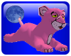 ! BA Pink Panther Kitten