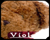 (V)teddy bear rug