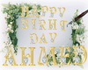 Ahmed birth day
