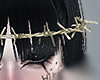Crown Wire