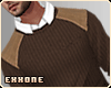 | EE | Brown Sweater v2
