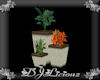 DJL-Potted PlantSet Sage