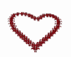 Sweet Heart Rose