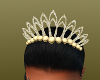 GOLD CROWN