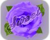  Stand Dot Lavender Rose