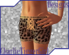 *CTG* Leopard Boyshorts