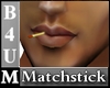 [Jo]B-Matchstick