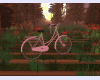 Garden of Love Bike