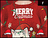 Y. Merry Catmas F