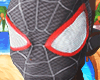 spider mask