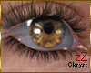 cK Eyes Ckryst Hazel