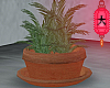 ♥ patio pot II