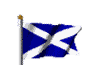 a scottish flag