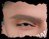 Natural Blonde Brows