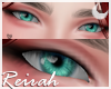R | Turquoise Eyes [M/F]