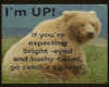 Bear Up