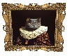 Duchesse cat portrait