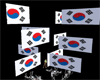Korea Republ Flag poofer