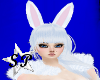(SP) Snow Bunny Ears