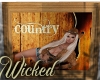 *W* Country Wicked 2