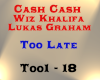 Cash Cash - Too Late