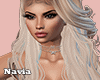 Leopard Bundle