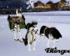 !AL! Sled With  Dogs