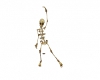 Tranf~Skeleton Dance