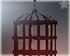 black Hanging Cage