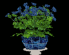 Blue Pedestal Flowers