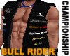 Champion Bull Rider