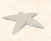 Sand Starfish for castle
