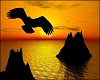 Eagle In Sunset
