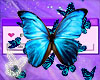 Butterfly Gang ♡