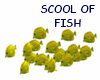 SCHOOL OF ANIMATED FISH