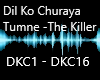 Dil Ko Churaya Tumne..