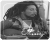Bob Marley V6
