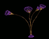 lamp animated purple
