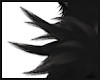 Black Tufts