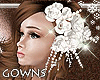 Bride's Hair Flowers
