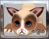 ~a~ Kitten Kouch Grumpy