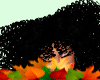 ♥AFRO BLACK