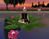 Lotus meditation