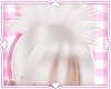 ❀. irumi | yuki
