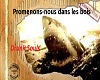 Dans les bois-Part 1