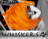 Whiskers :Tango Hair F2