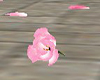 falling pink rose petals
