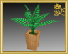 Decorative Potted Fern