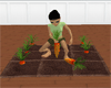 farm Carrots